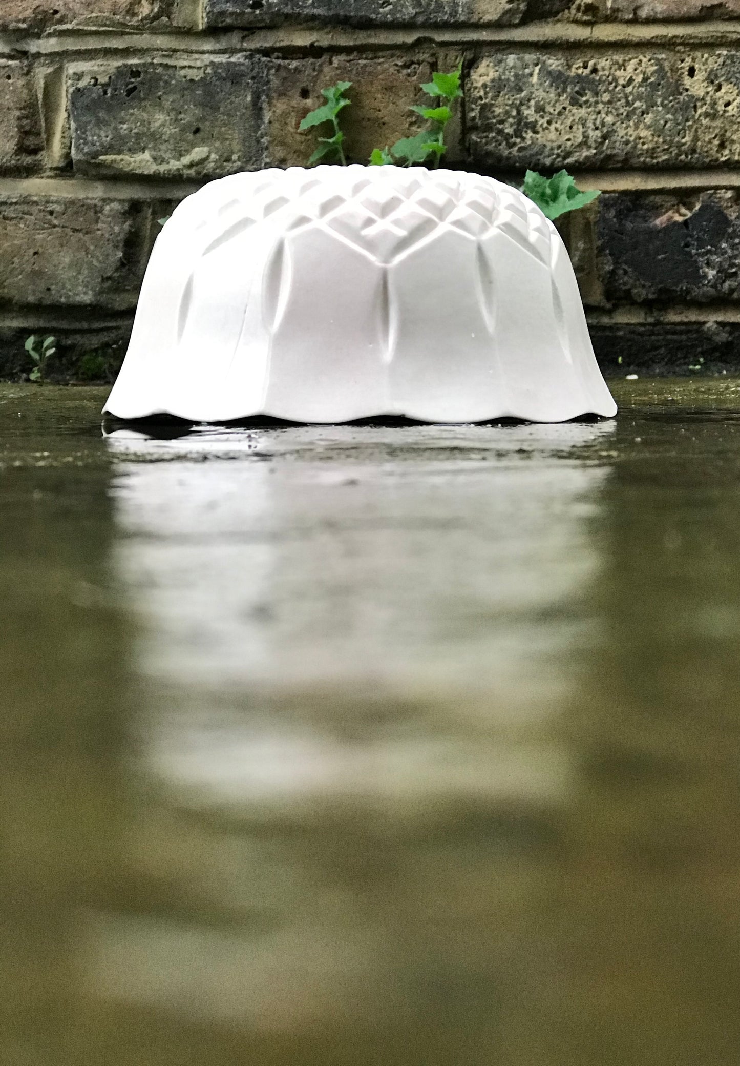 A porcelain bowl with a clear gloss glaze and a scalloped edge.