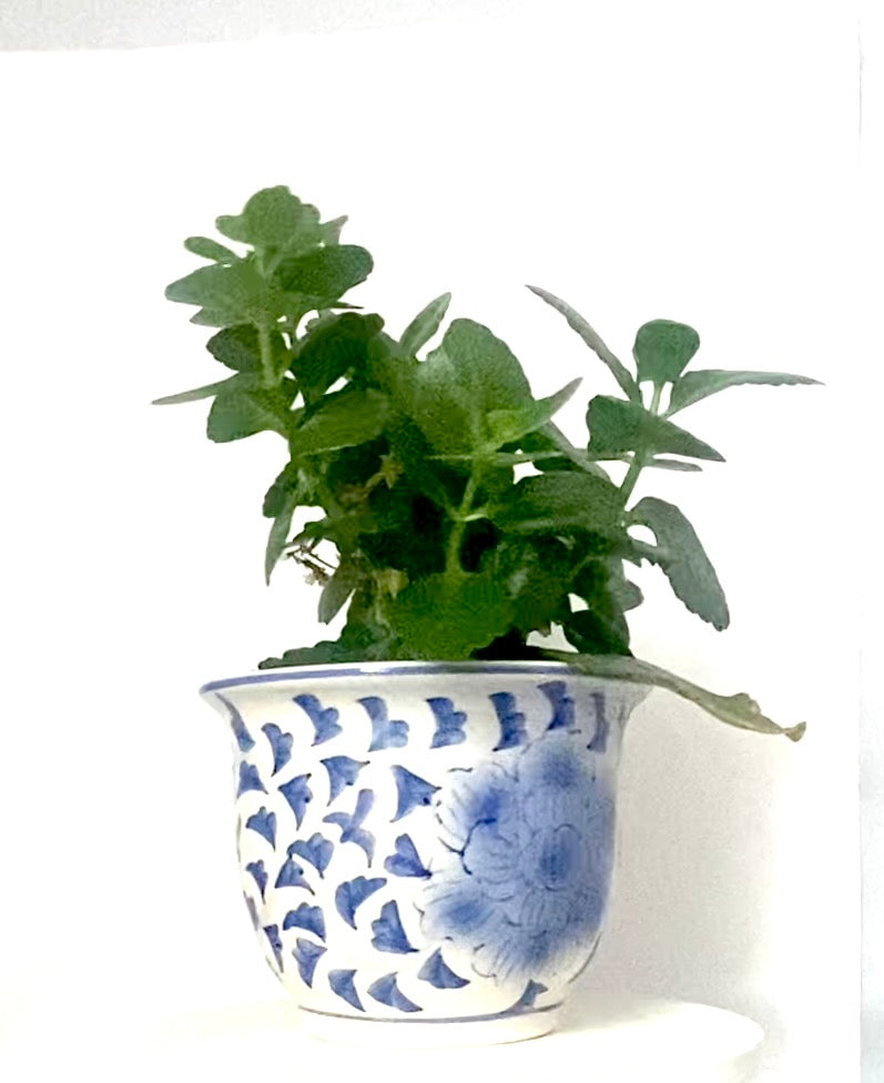 A blue and white handpainted ceramic flower pot planter.