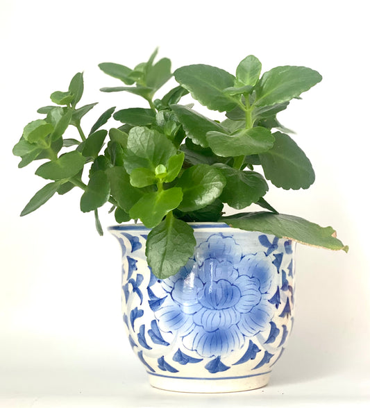 A blue and white handpainted ceramic flower pot planter.