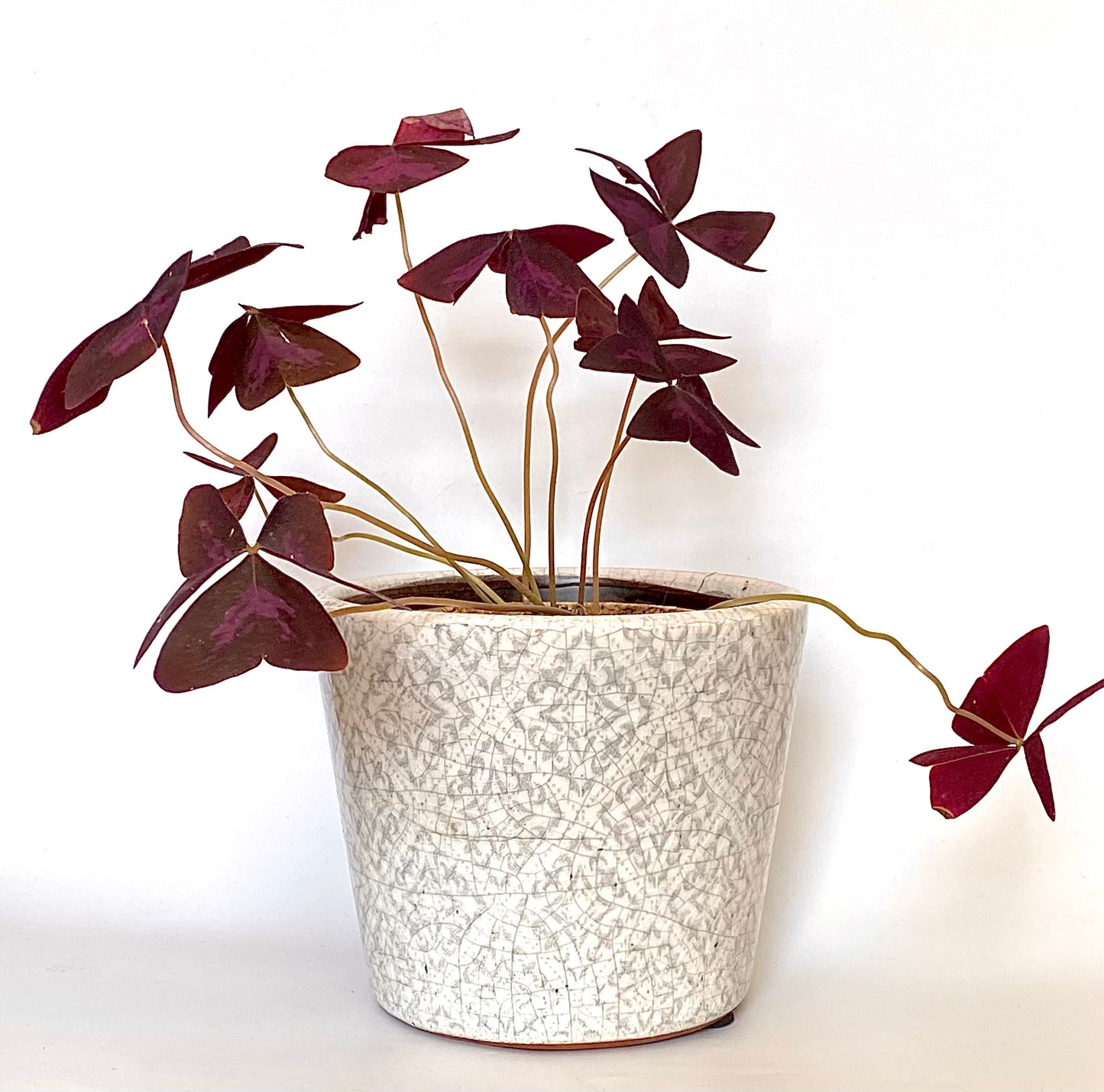 A ceramic flower planter with a teal grey design underneath a crackled glaze.